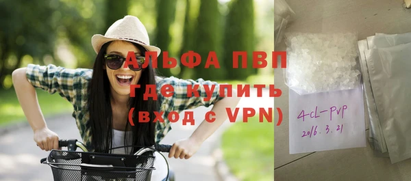 гашик Арсеньев
