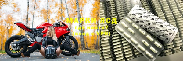 гашик Арсеньев